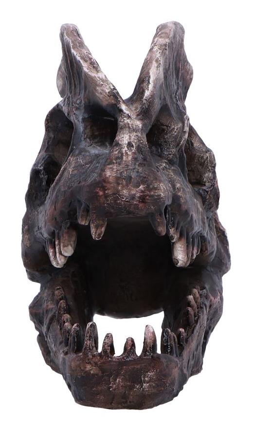 Photo #4 of product D7103B25 - Dilophosaurus Skull Resin Replica