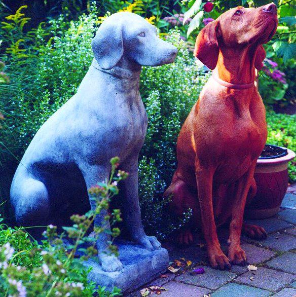 Photo of Dog Stone Garden Sculpture