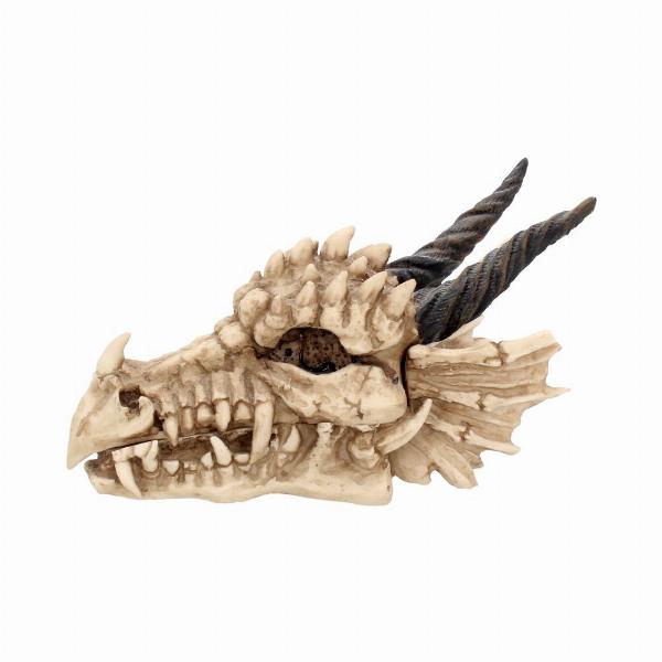 Photo #3 of product AL50057 - Fantasy Gothic Dragon Skull Trinket Box