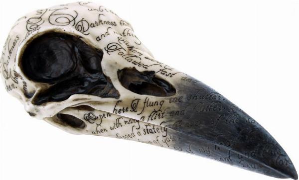 Photo of Edgars Raven Skull Ornament 20cm