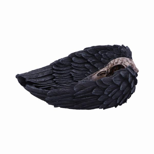 Photo #2 of product D4917R0 - Edgar Allen Poe's Nevermore Raven Skull Trinket Holder Jewellery Dish