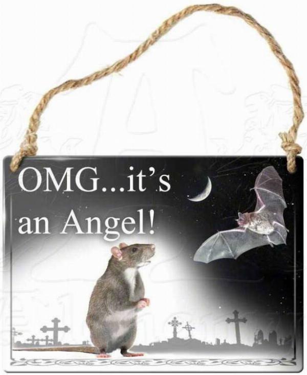 Photo of Omg Its An Angel! Small Steel Plaque