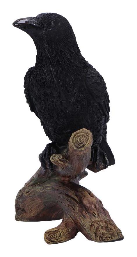 Photo #4 of product D7084B25 - Ravens Perch Resin Figurine