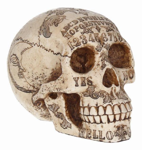 Photo #1 of product D1500D5 - Nemesis Now Spirits Commune Skull 20cm