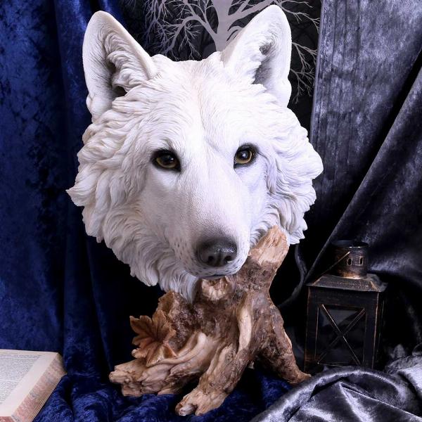 Photo #5 of product U4538N9 - Wild Winter White Wolf Bust 27.5cm
