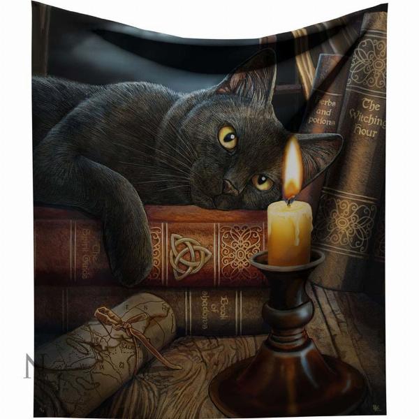 Photo #1 of product B2993H7 - Lisa Parker Witching Hour Throw Witch Cat Blanket
