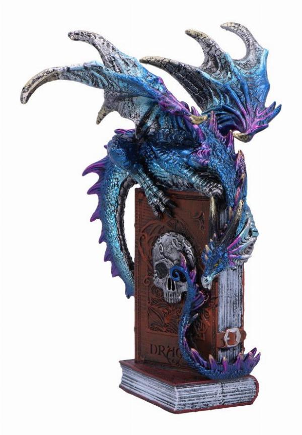 Photo #3 of product U6700A24 - A Tale of Dragons Skull Book Figurine 22cm