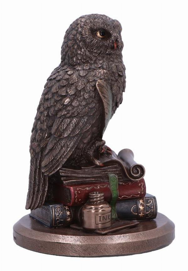 Photo #4 of product D6816B24 - An Owl's Tale Bronze Figurine