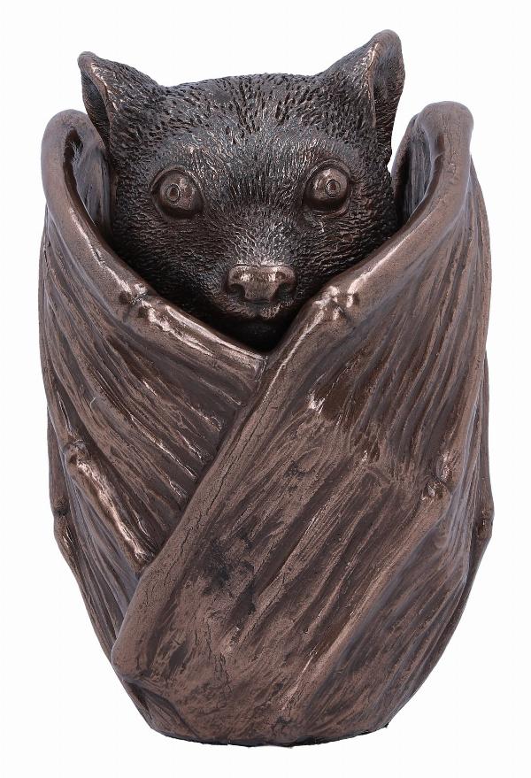 Photo #1 of product D6577Y3 - Bronze Bat Snuggle Box