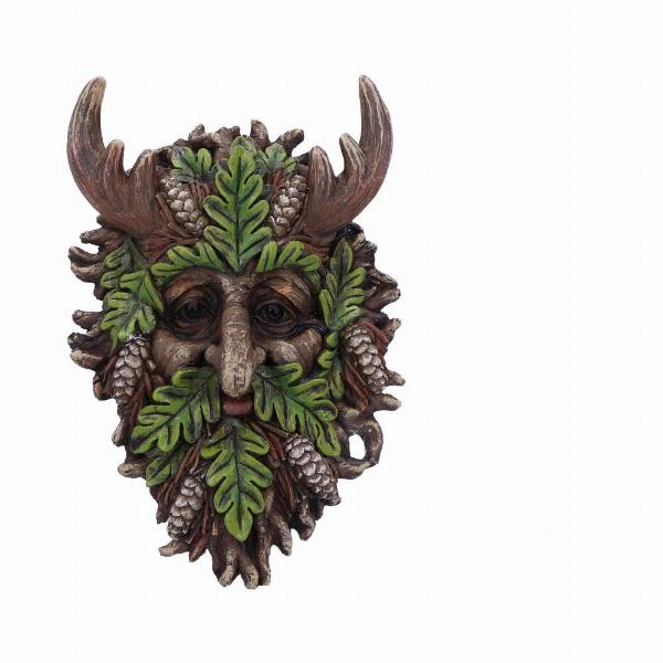 Photo #1 of product D5935V2 - Bryn Wall Mounted Tree Spirit 20.8cm