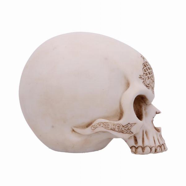 Photo #3 of product U5688U1 - Celtic Cave Skull 15cm