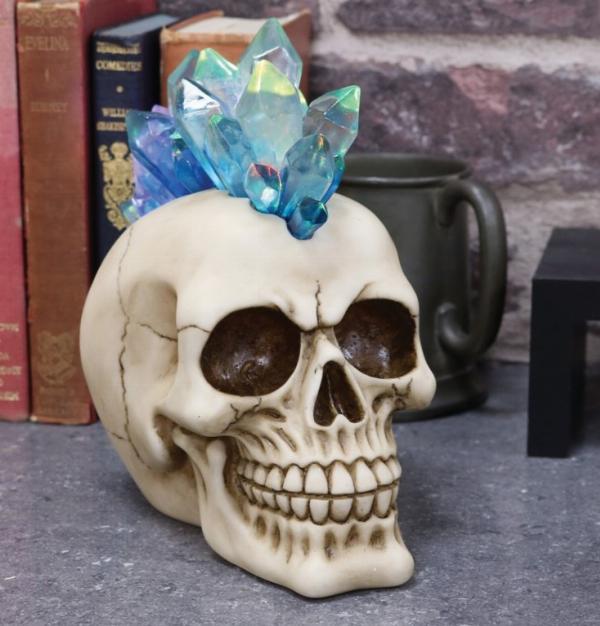 Photo of Crystal Hawk Skull Ornament Light Feature