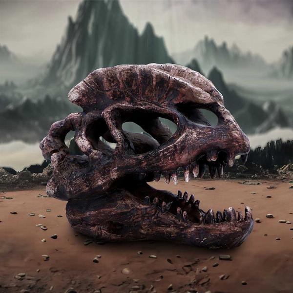 Photo #5 of product D7103B25 - Dilophosaurus Skull Resin Replica