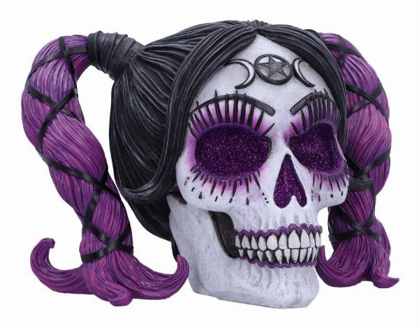 Photo #1 of product B6589Y3 - Drop Dead Gorgeous - Myths and Magic Voodoo Doll Skull