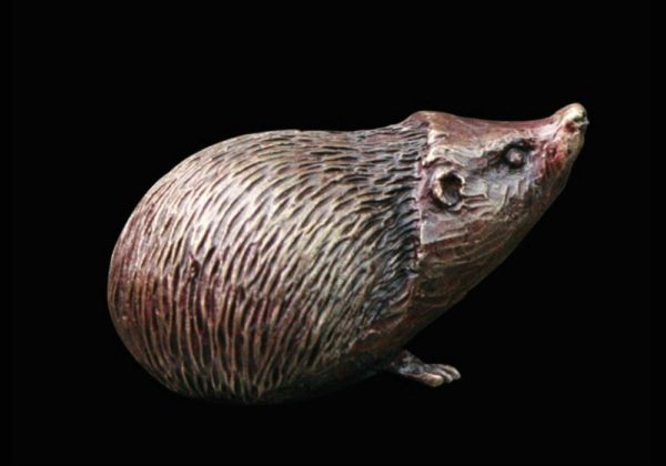 Photo of Hedgehog Bronze Miniature (Butler and Peach)