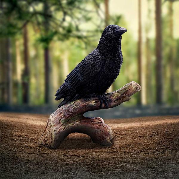 Photo #5 of product D7084B25 - Ravens Perch Resin Figurine