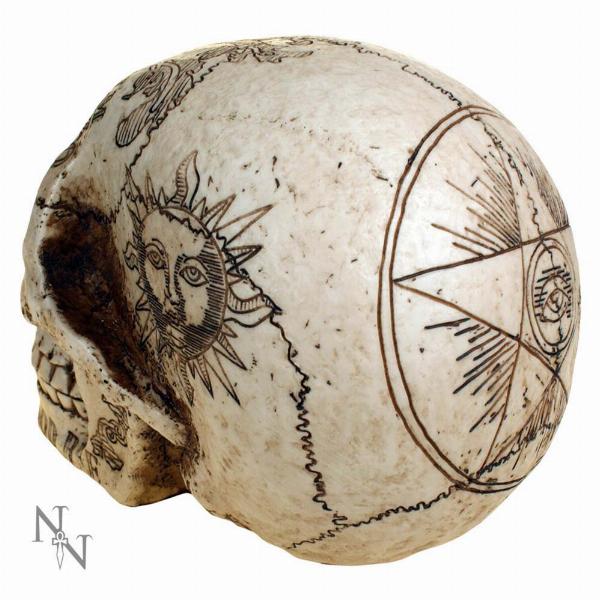 Photo #2 of product D1500D5 - Nemesis Now Spirits Commune Skull 20cm