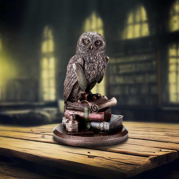 Photo #5 of product D6816B24 - An Owl's Tale Bronze Figurine