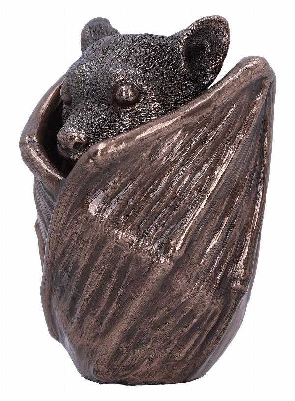Photo #2 of product D6577Y3 - Bronze Bat Snuggle Box