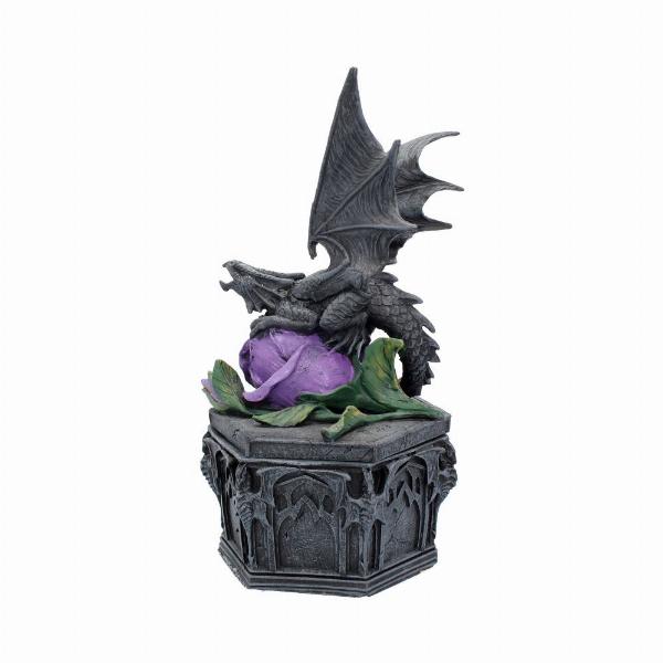 Photo #2 of product NOW6852 - Anne Stokes Dragon Beauty Valentine Box