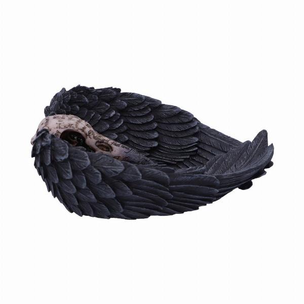 Photo #4 of product D4917R0 - Edgar Allen Poe's Nevermore Raven Skull Trinket Holder Jewellery Dish
