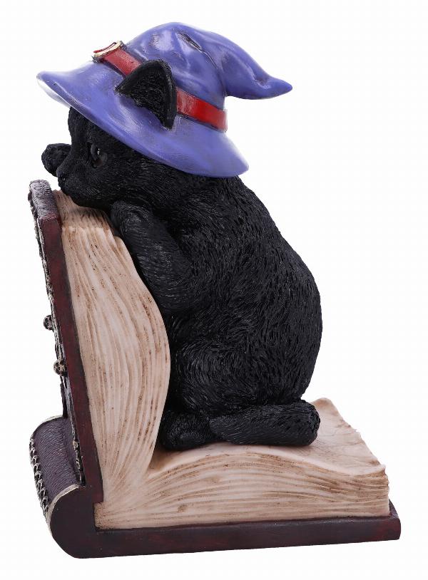 Photo #2 of product U6504Y3 - Peek-a-boo Witch Cat Bookend
