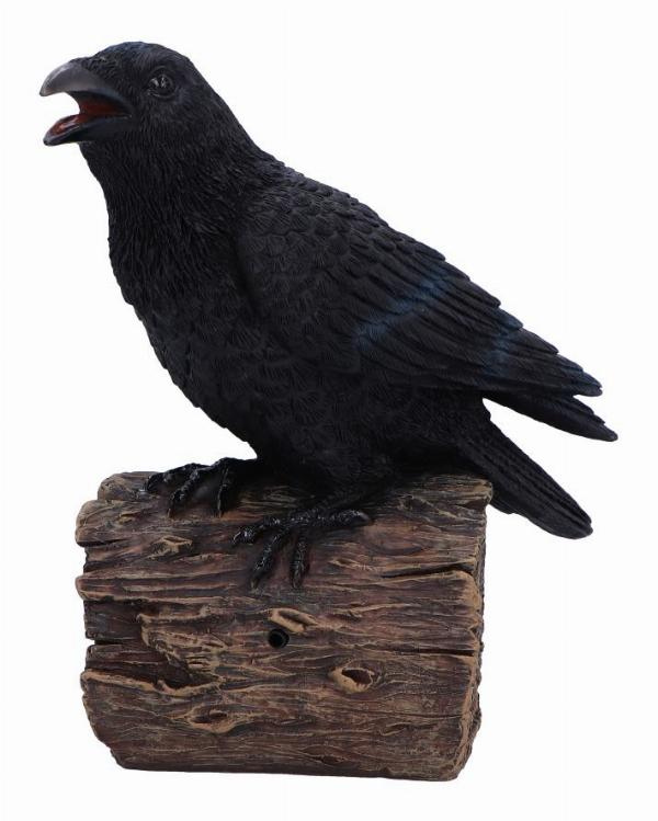 Photo #1 of product D7085B25 - Ravens Cry With Motion Activated Sound