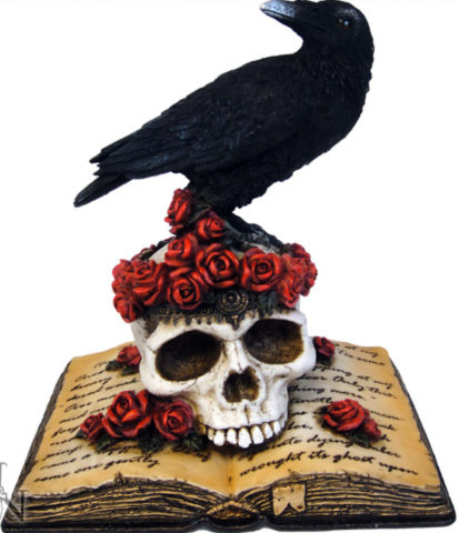 Photo of Ravens Heartache On Skull