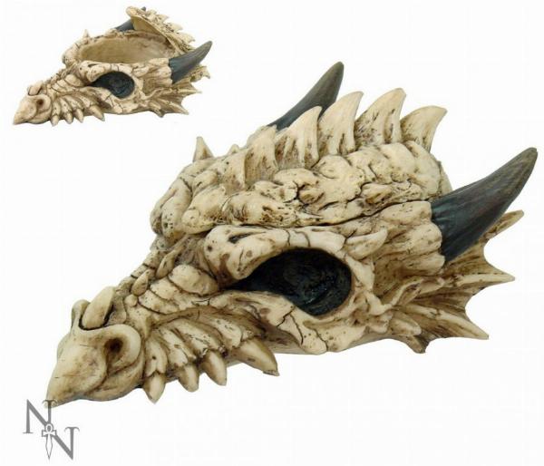 Photo of Smaug Dragon Skull Trinket Box