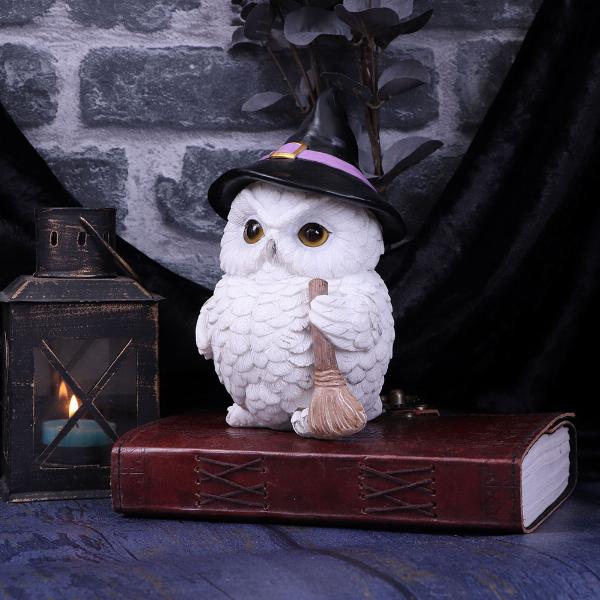 Photo #5 of product U5272S0 - Snowy Magic Witch Owl Familiar Figurine