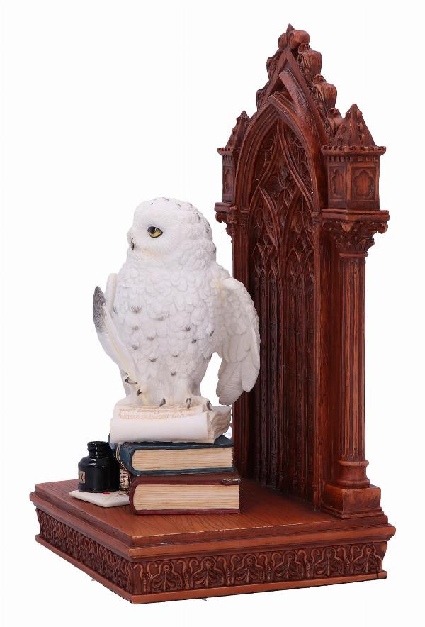 Photo #2 of product D6525Y3 - The Scribe's Companion Enchanting Owl Ornament