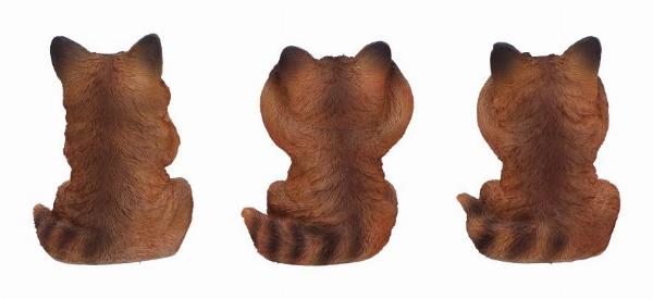 Photo #4 of product U6722A24 - Three Wise Foxes Figurines 8.5cm