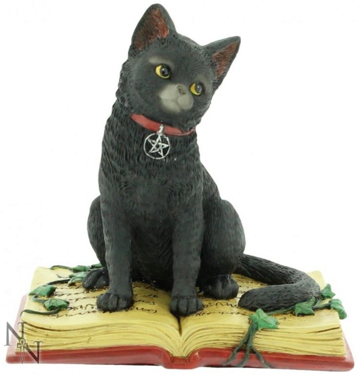 Eclipse Cat Spell Book Figurine Wiccan Witch Gothic Ornament 12cm main image 0
